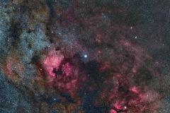 Centered on Deneb in Cygnus