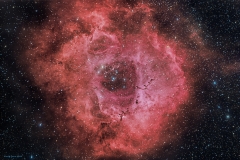 Rosette-2-6-deep-filter